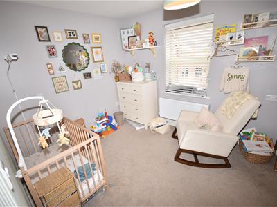 Picture 12